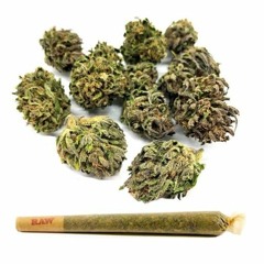 BEAT 052 - 30 PLN - 100 BMP - PROD. BONGO NH - Output - Stereo Out