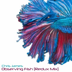 Observing Fish [Redux Mix]
