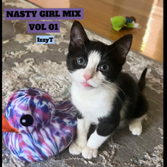 Nasty Girl Vol. 01