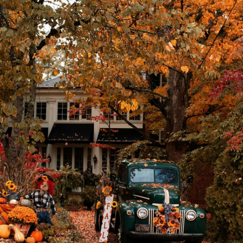 (10) Чистый лист ( caver)