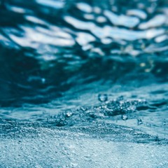 dive in