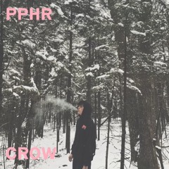 purple heart (ft. Queuej) (prod.ocrow)