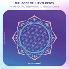 741 Hz ❯ REMOVES TOXINS ❯ Full Body Cell Level Detox ❯ Healing Music || Solfeggio Frequency Music