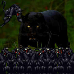 PANTHER ZOO
