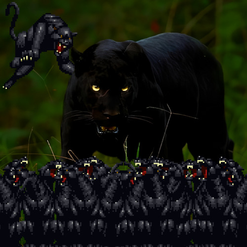 PANTHER ZOO