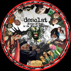 bs 20: desolat - Songs of Love in the Age of Anarchy