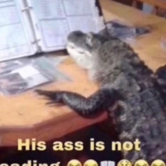 IFURNOTPSYCHODONTTEXTME 2 [BETA VERSION] by alex schor