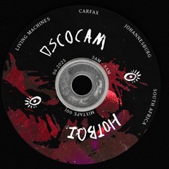HOTBOI B2B DSCO CAM LVM JUNE 2025