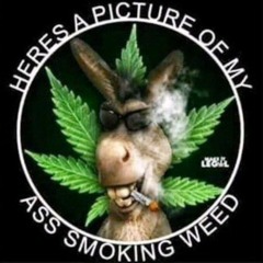 forest of hoes ft eskort