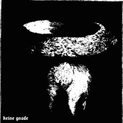 keine gnade W STNV 7
