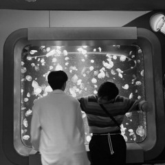 เพลงรัก - Gemini
