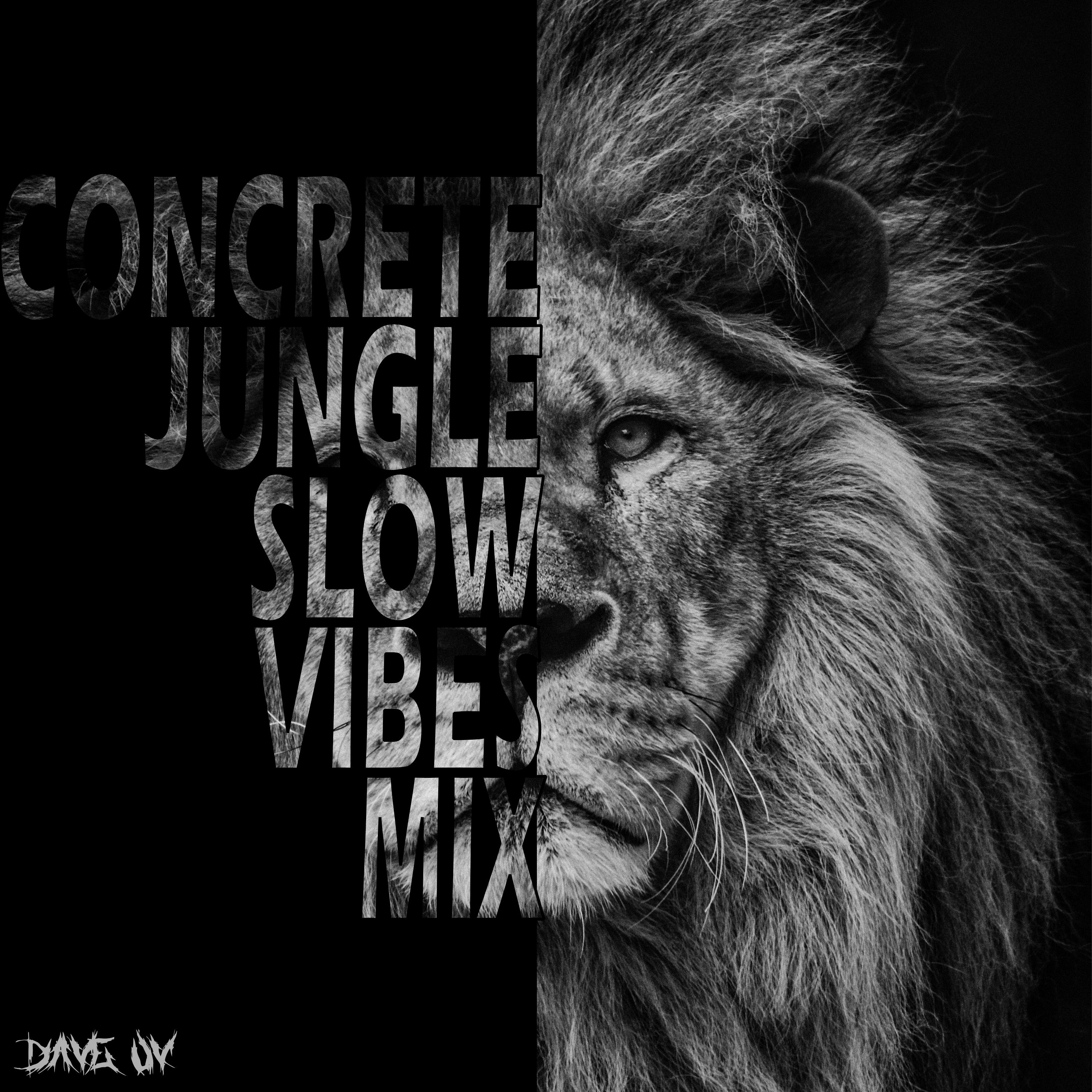 Concrete Jungle (Slow vibes mix) episode artwork