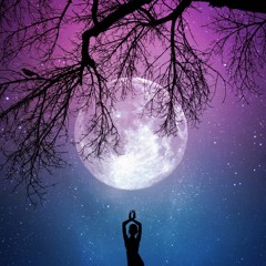 NBSPLV - Moons Wane