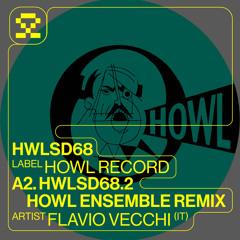 PREMIERE: A2. Flavio Vecchi - HWLSD68.2 (Howl Ensemble Remix) (HWLSD68)