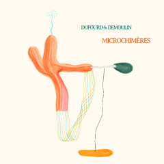 Dufourd & Demoulin - Microchimères - En Suspens