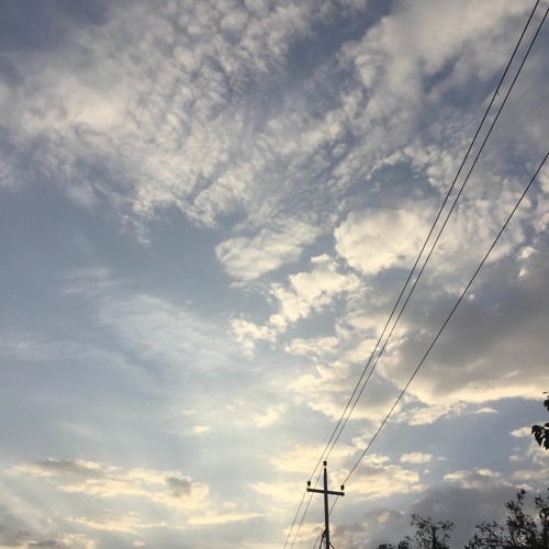 - سكَن اللّيل - عمار الشريعي