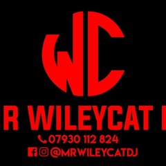 MR WILEYCAT PRESENTS RAW FLAVA IN THE KITCHEN - THE OL' SKOOL HIP HOP EDITION