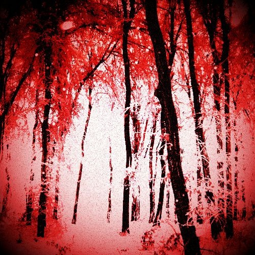 Whiteout: Wrath (Act II)