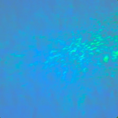 Dreams and Waves 060225