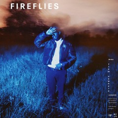 Fireflies