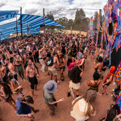 SLINKY WIZARD - Wild Horses 2025