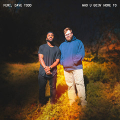 Femi, Dave Todd - Who U Goin’ Home To