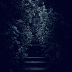 let's walk this together