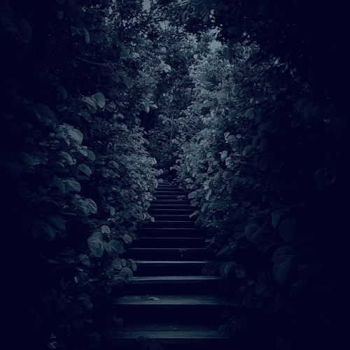 let's walk this together