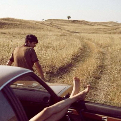 to fall in love (voice memo)