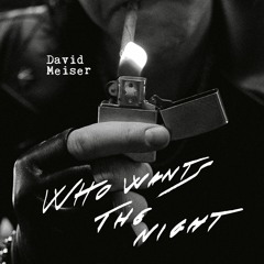 B2. David Meiser - Who Wants The Night (Siarem Remix)