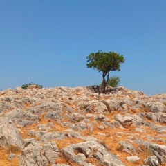 Speak only if you know