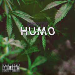 HUMO