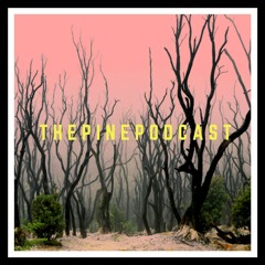 Pine Podcast Ep.2 My Top 5 Underrated Movies