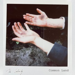 Common Land