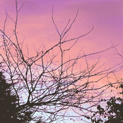 Distant Dreams/Desire Disconnected (unfinished)