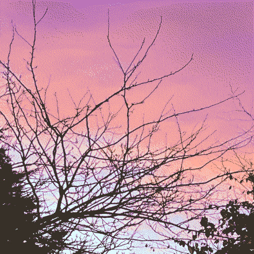 Distant Dreams/Desire Disconnected (unfinished)