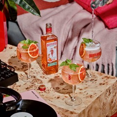 Stepping Steppa Remix by Gin N Tonic