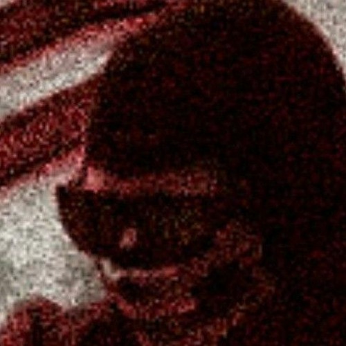 KILLED 2 MOTHAFUCKAS