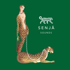 Senja Sounds: Trader O