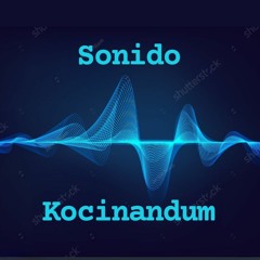 SONIDO KOCINANDUM.wma