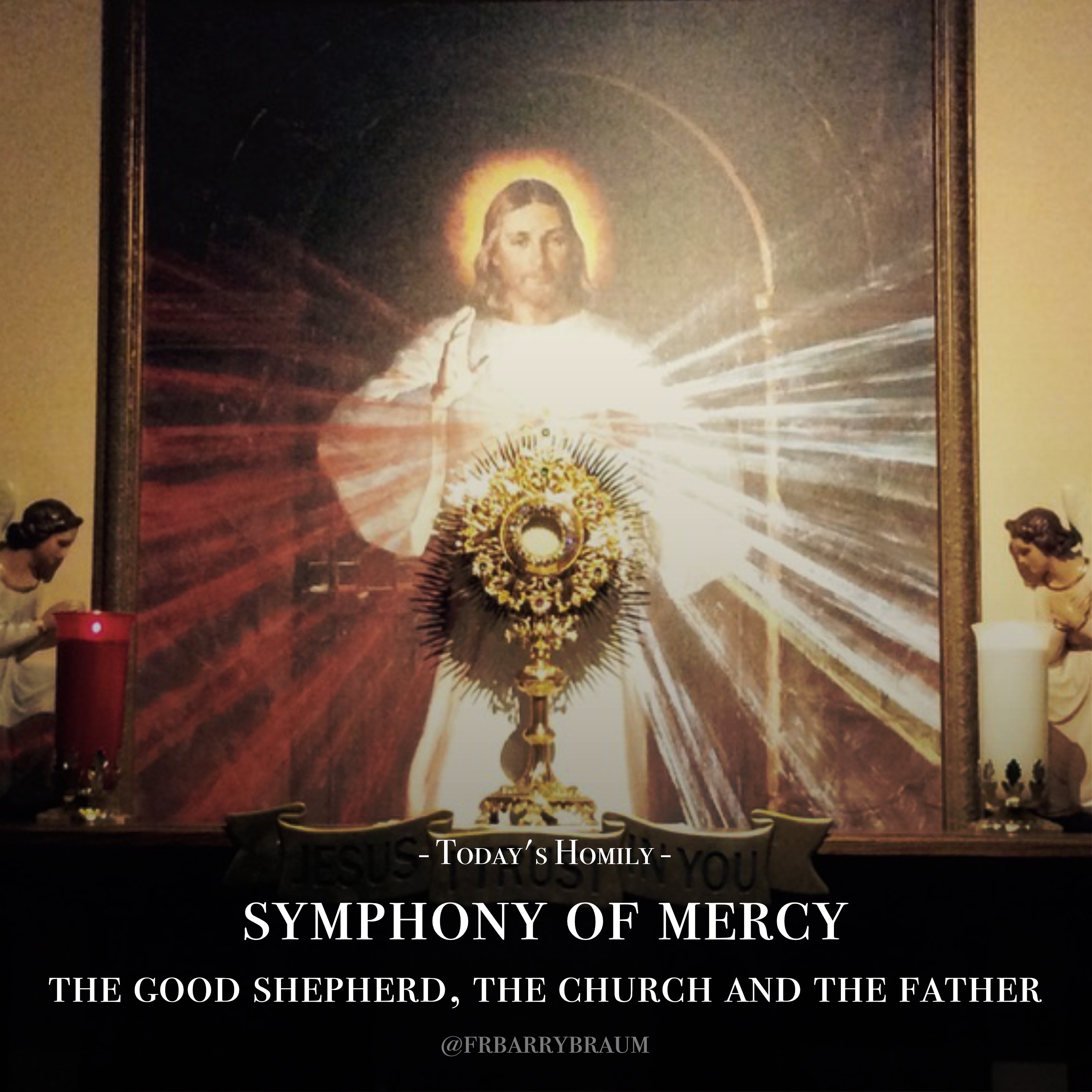Fr. Barry Braum - Homilies and Conferences