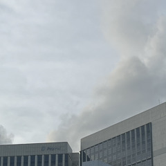 before - niki (cover)