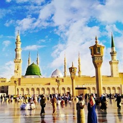 يا امام الرسل - محمد دنيا