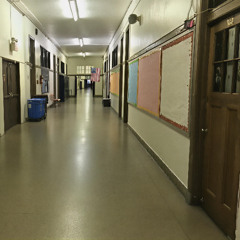 school shooter (wych elm cover)