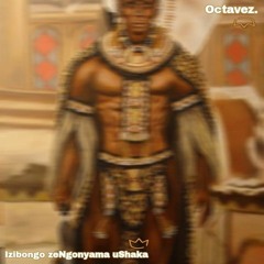 PREMIERE: Inyosi uMdletshe - Izibongo ZeNgonyama uShaka (Octavez Afro Tech Cover)