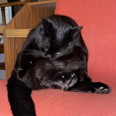 clock in // #jamuary2026 day 7