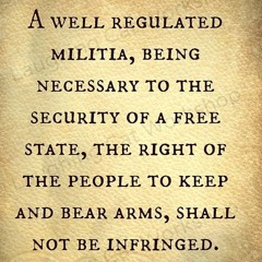 2ndAmendment…