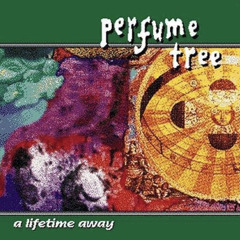 Perfume Tree - So Far Away