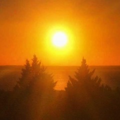 The Sunrise