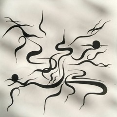 COLUNDI022020